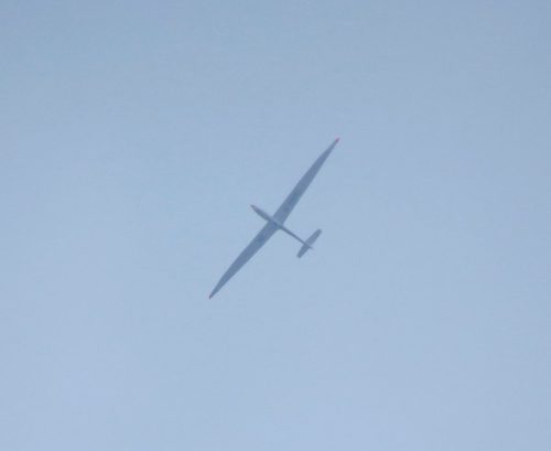 Glider-D-KMNC-01