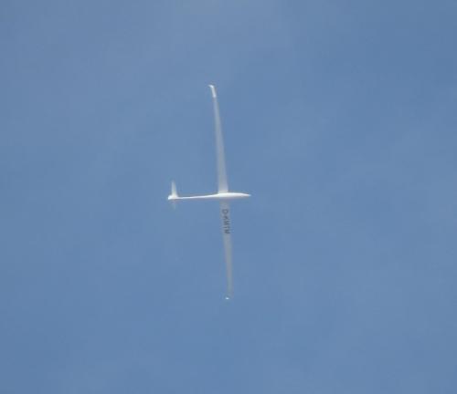 Glider-D-KMTM-02