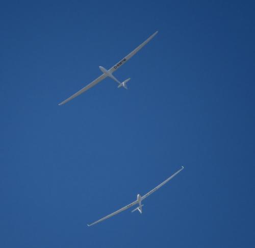 Glider-D-KMTM MX-05