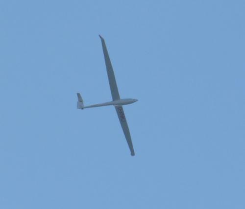 Glider-D-KNKJ-01