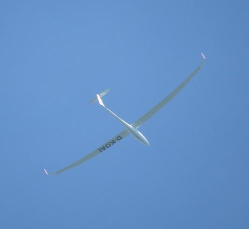 Glider-D-KOAI-02