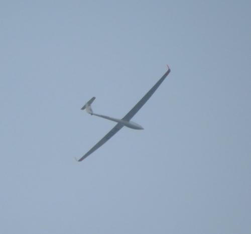 Glider-D-KOCP-01