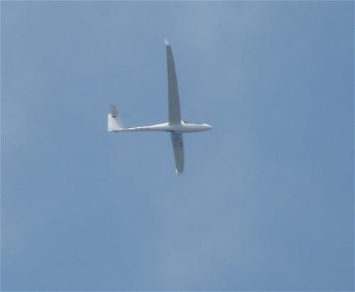 Glider-D-KOTZ-01