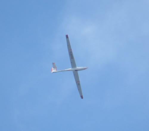 Glider-D-KPIK-01