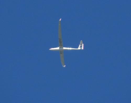 Glider-D-KPIT-01