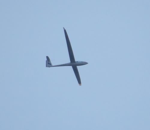 Glider-D-KPIT-02