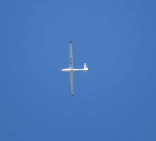 Glider-D-KPJP-02