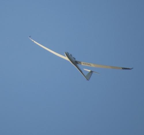 Glider-D-KPRD-04