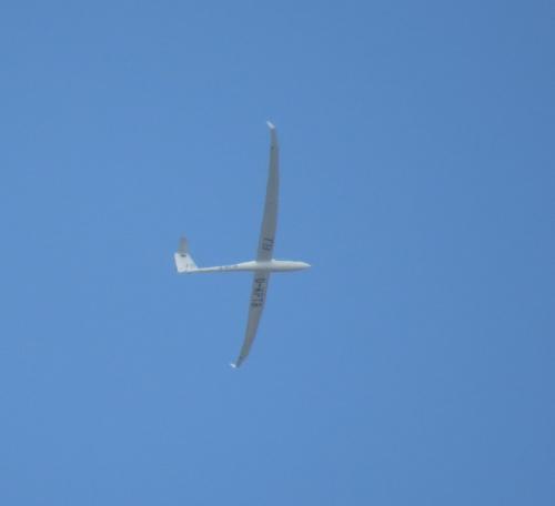 Glider-D-KPTB-01