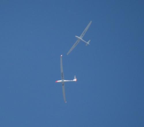 Glider-D-KRAL-03