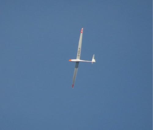 Glider-D-KRLH-01