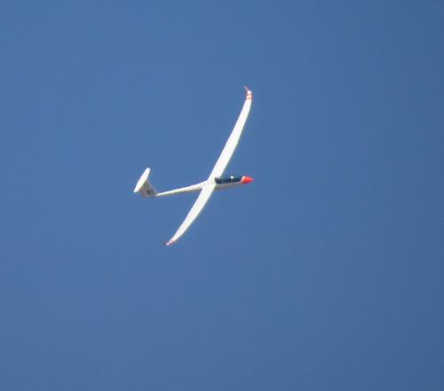 Glider-D-KSAP-03