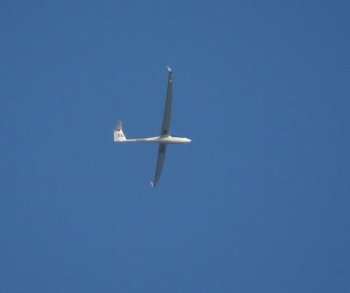 Glider-D-KSBG-01