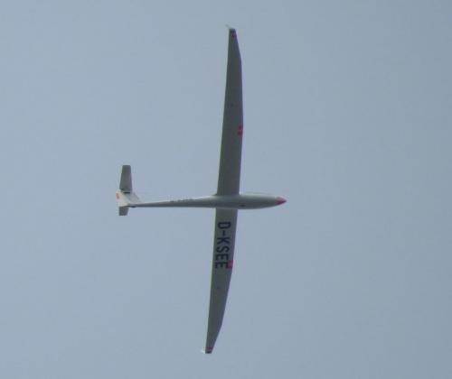 Glider-D-KSEE-01