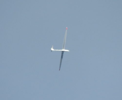 Glider-D-KSEP-01