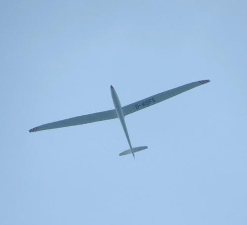 Glider-D-KSFS-01