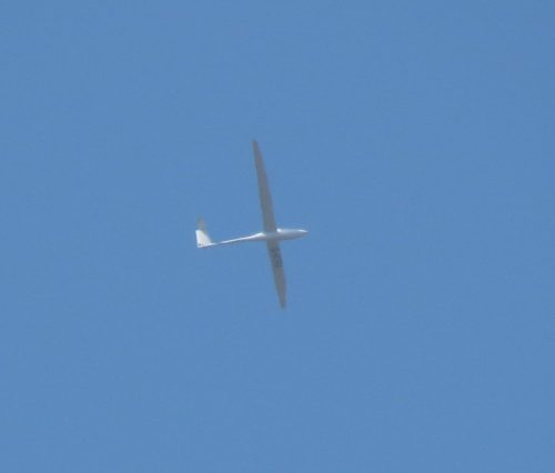Glider-D-KTFA-01