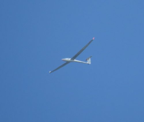 Glider-D-KTLL-01
