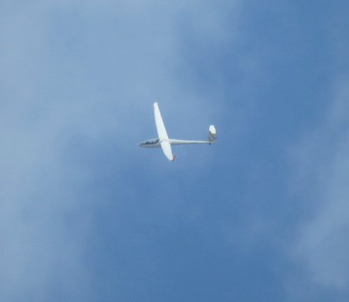 Glider-D-KTLL-02