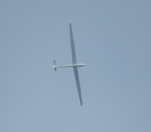 Glider-D-KTLL-03
