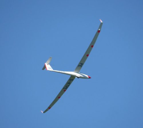 Glider-D-KTPE-10