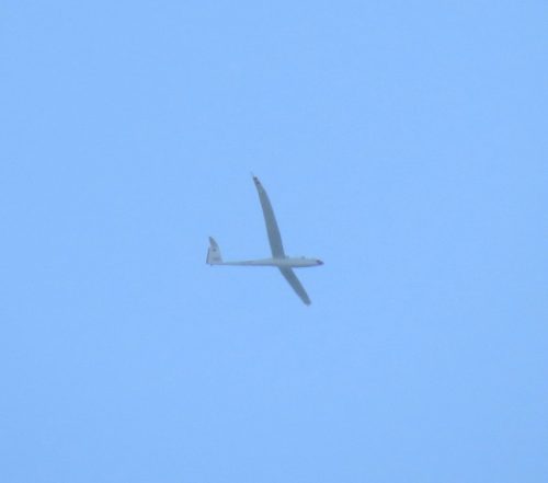 Glider-D-KTSH MO-02