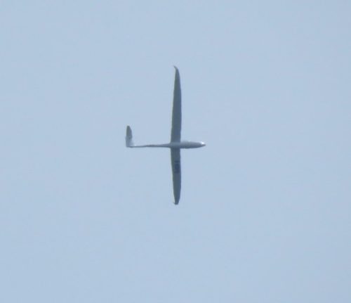 Glider-D-KUPO-02