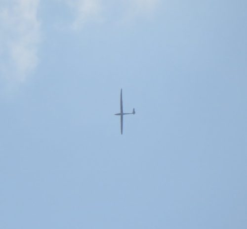 Glider-OE-5927-01