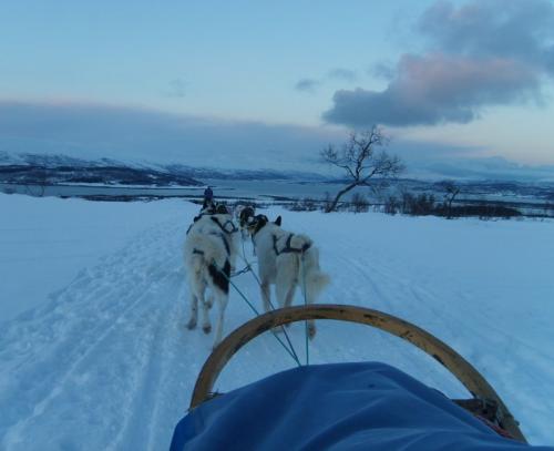 NOR-Tromso2008