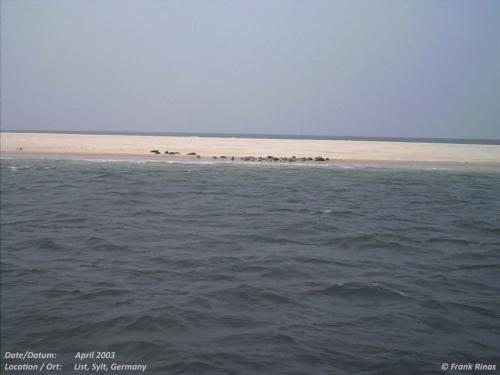 2003Sylt27