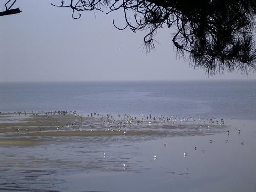 2005Sylt21