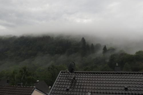 001-09082019Heimbach