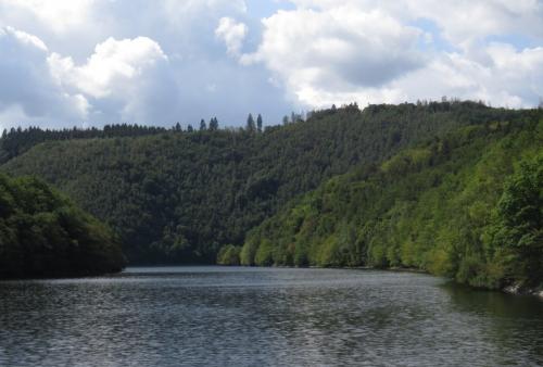 056-13082019Heimbach