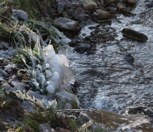 001-09.01.2024 Frost-und-Schnee01