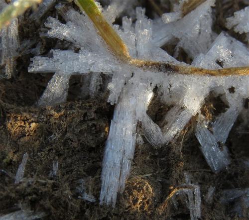 002-11.01.2024 Frost-und-Schnee01