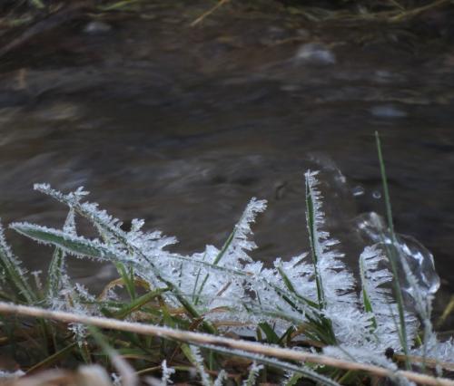 002-11.01.2024 Frost-und-Schnee08