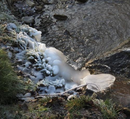 002-11.01.2024 Frost-und-Schnee09