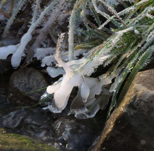 002-11.01.2024 Frost-und-Schnee12