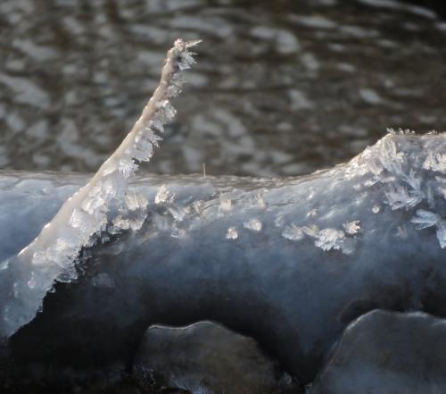 002-11.01.2024 Frost-und-Schnee13