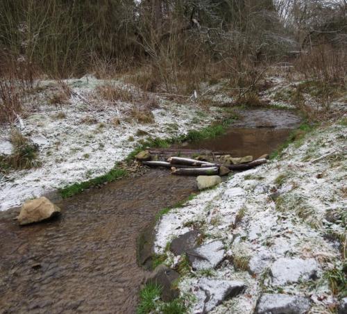 003-13.01.2024 Frost-und-Schnee01