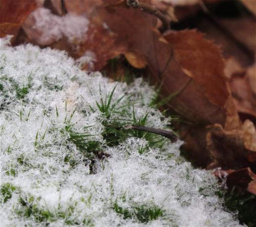 003-13.01.2024 Frost-und-Schnee10