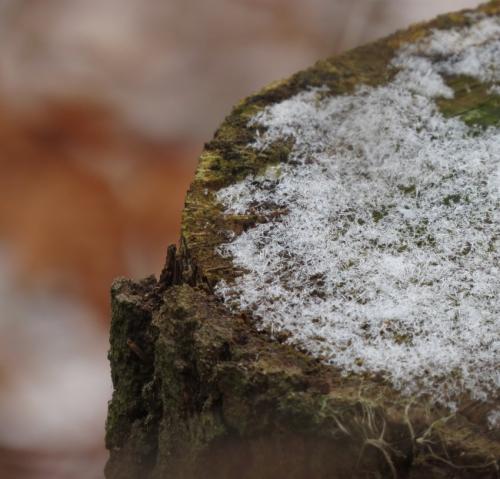 003-13.01.2024 Frost-und-Schnee12