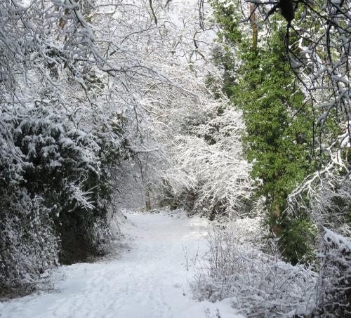 003-190124 Eisregen-und-Schnee21