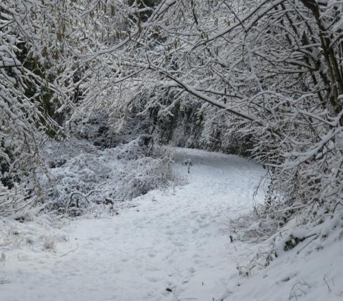 003-190124 Eisregen-und-Schnee22