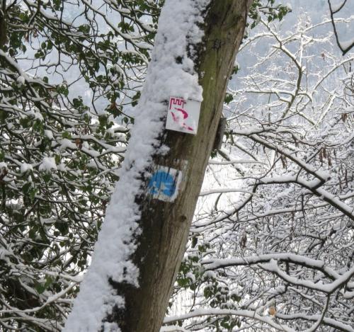 003-190124 Eisregen-und-Schnee23