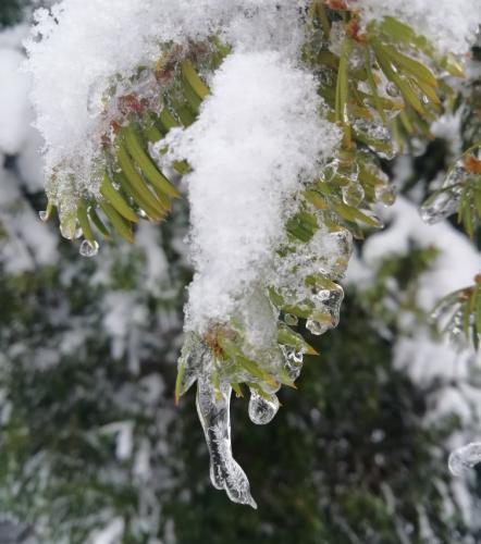 003-190124 Eisregen-und-Schnee23a