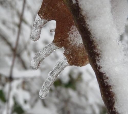 003-190124 Eisregen-und-Schnee24