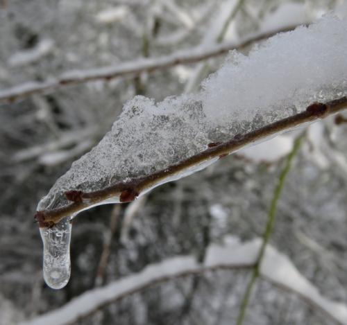 003-190124 Eisregen-und-Schnee26