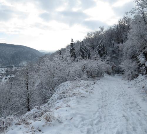 003-190124 Eisregen-und-Schnee27