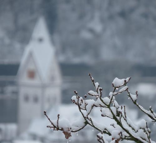 003-190124 Eisregen-und-Schnee29